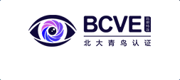 视频特效设计班BCVE课程